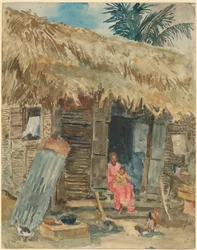 Hydda i Trinidad