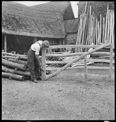 En man tillverkar en grind till ett fält i byn Aston,1930-50 (foto)