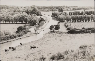 Vy mot Globe Lane-bron över Grand Union Canal, 1900-talet (foto)