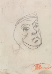 Huvud