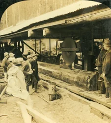 Timber Industry, Warburton, Victoria, Australien, 1909.