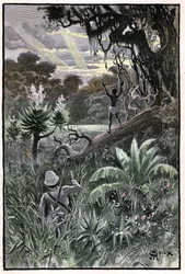 Illustration av George Roux till Jules Vernes bok "The Aerien Village" (1901), Hetzel edition/Extraordinary Voyages, Known and Unknown Worlds. Utsikt över en afrikansk skog (Kongo).