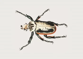 Jättebock
