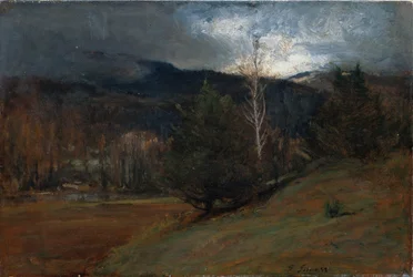 November i Adirondacks, ca 1885