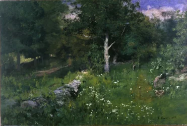 Sommar lövverk