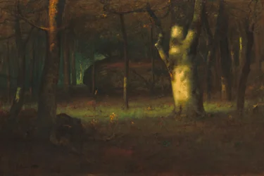 Solnedgång i skogen, 1891