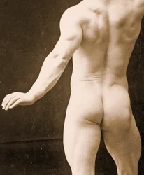 Eugen Sandow, i klassisk antik grekisk-romersk pose, detalj av DGC 1073442 c.1894 bw foto