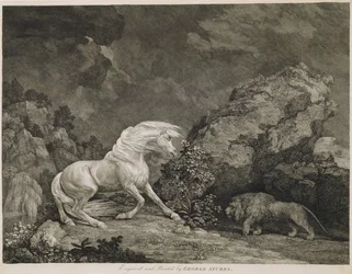 A Horse Frighted by a Lion, graverad av konstnären