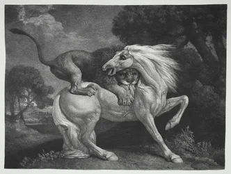 En häst attackerad av ett lejon, 1788.