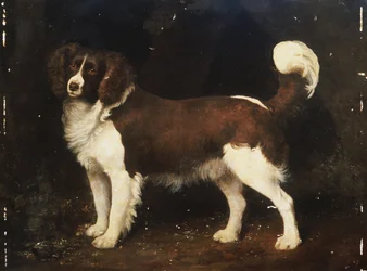 En spaniel i ett landskap, 1784