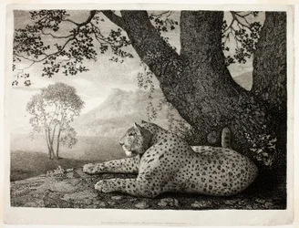 En Tyger (En liggande leopard vid ett träd)