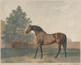 "Städ"
