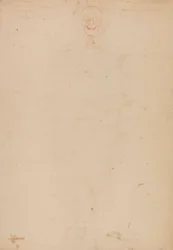 Mänskligt skelett, framifrån