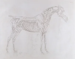 Illustration från 
