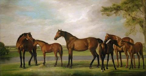 Ston och föl störda av en annalkande storm, 1764-66