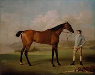 Molly Long-legs med sin jockey