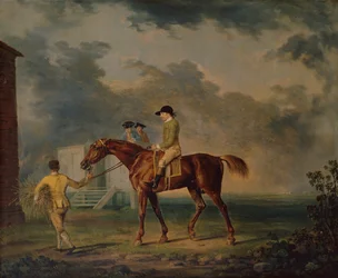 Sir Salomon, A Bay Racehorse med J.Singleton, Newmarket (olja på duk)