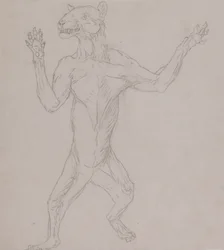 Studie av en tiger, som står i mänsklig ställning, från en jämförande anatomisk utläggning av människokroppens struktur med en tiger och en höns, 1795-1806 (grafit på tunt vävt papper)