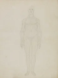 Studie av den mänskliga figuren, anterior View, från "En jämförande anatomisk beskrivning av människokroppens struktur med en tiger och en vanlig fågel"
