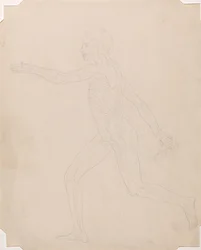 Studie av människofiguren, sidovy, en jämförande anatomisk beskrivning av människokroppens struktur med en tiger och en höns, ca 1795-1806 (grafit på patronpapper)