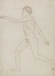 Studie av människofiguren, sidovy, från "En jämförande anatomisk beskrivning av människokroppens struktur med en tiger och en höns", ca 1795-1806 (grafit på papper)
