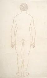 Studie av människofiguren, bakifrån, från en jämförande anatomisk utläggning av människokroppens struktur med en tiger och en höns, ca 1795-1806 (bläck på papper)