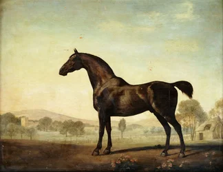 Sweetwilliam", en Bay Racehorse, i en paddock, 1779