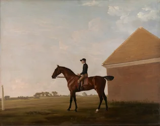 Turf, med Jockey uppe, på Newmarket, ca. 1766.