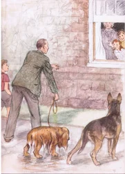 Spanielhundarna var dränkta i lera och slem, från Pets Limited utgiven av Collins