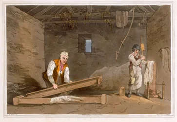 Line Swinglers graverade av Robert Havell den äldre, publicerad 1814 av Robinson and Son, Leeds