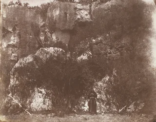 Garden of Selvia, Syrakusa, Sicilien, 1846.