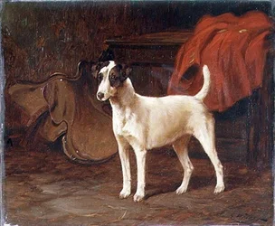 En Jack Russell står redo i ett tackrum