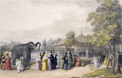 Elefanthuset i Zoological Gardens, Regent