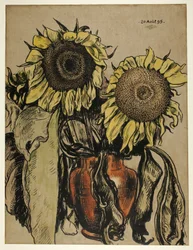 Solrosor