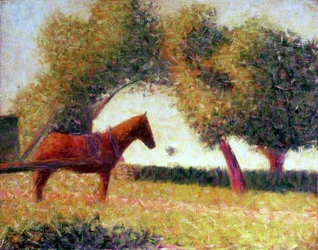 Den selade hästen, 1883