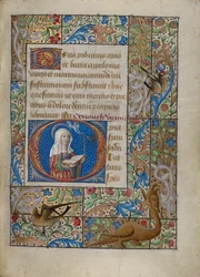 Ursprunglig O: Saint Geneviève