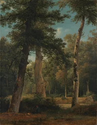En skog vid Fontainebleau