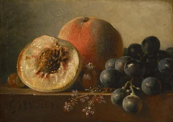 Frukter