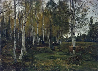 Björkskog på hösten