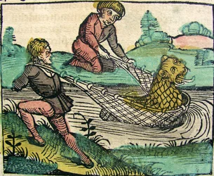 Att fånga ett lejonkattfiskmonster publicerat i Nürnbergkrönikan, 1493