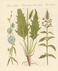 Kommersiella och medicinska anläggningar