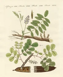 Kommersiella anläggningar