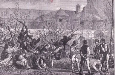 Att hugga ner träd runt Paris för ved, Cassells History of the War between France and Germany publicerad av Cassell and Company Limited, ca 1890 (litho)