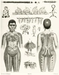 Diagram som visar polynesiska smycken, ornament och tatueringar, 1888