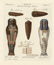 egyptiska mumier