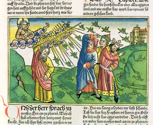 Andra Moseboken 10:1-20 Egyptens sju plågor: gräshoppsplågan, ur Nürnberg-bibeln (Biblia Sacra Germanica)