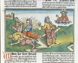 Andra Moseboken 9, 8-12: Egyptens sju plågor - Mose och böldpesten, ur Nürnberg-bibeln (Biblia Sacra Germanica)