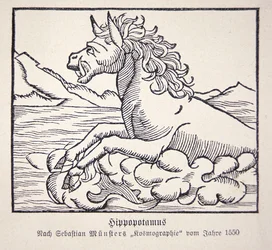 Flodhäst från Sebastien Münsters 