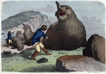 Jägare som slåss mot sjöelefanter. I När någon reser är detta vad han kan berätta, tysk saga av Franz Wiedemann