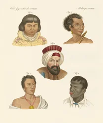 Illustration av de viktigaste mänskliga raserna